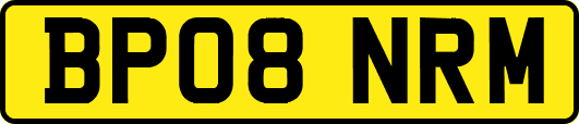 BP08NRM