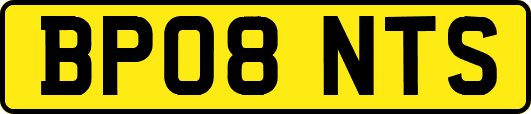 BP08NTS