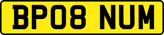 BP08NUM