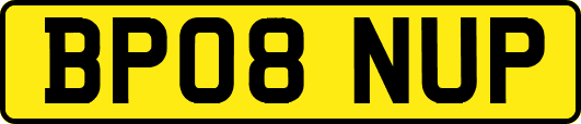 BP08NUP
