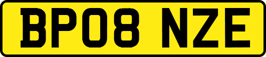 BP08NZE