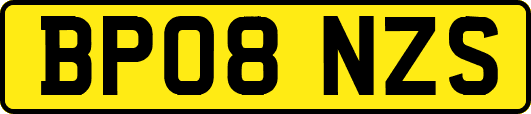 BP08NZS