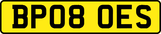 BP08OES