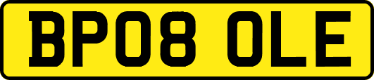 BP08OLE