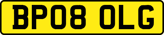 BP08OLG