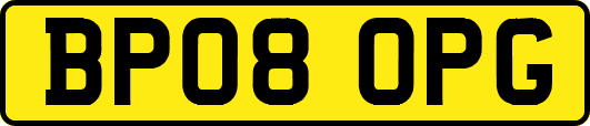 BP08OPG