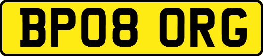 BP08ORG