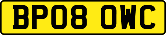 BP08OWC