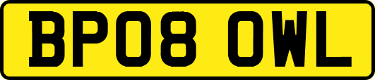 BP08OWL