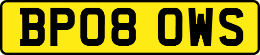 BP08OWS
