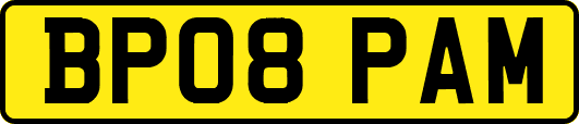 BP08PAM