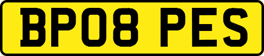 BP08PES