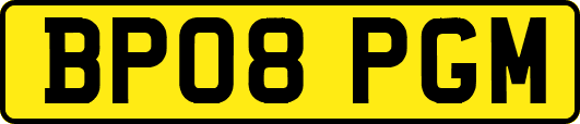 BP08PGM