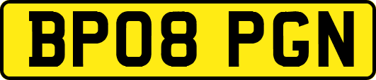 BP08PGN