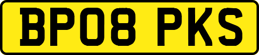 BP08PKS