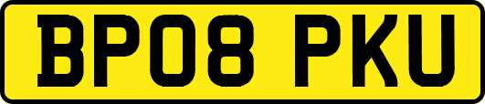 BP08PKU