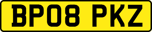 BP08PKZ
