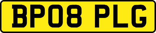 BP08PLG