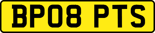 BP08PTS