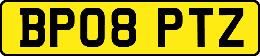 BP08PTZ