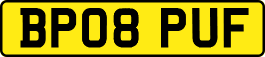BP08PUF