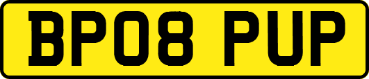 BP08PUP