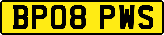 BP08PWS