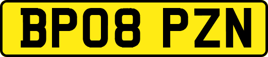 BP08PZN
