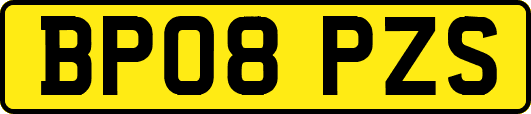 BP08PZS