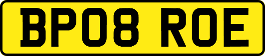 BP08ROE