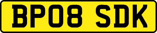 BP08SDK
