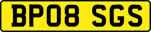 BP08SGS