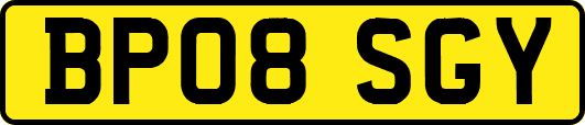 BP08SGY
