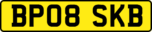 BP08SKB