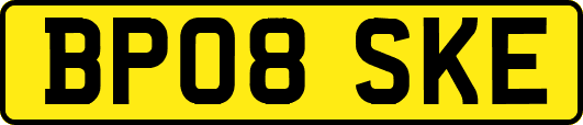 BP08SKE