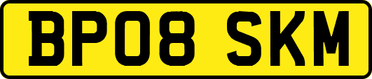 BP08SKM
