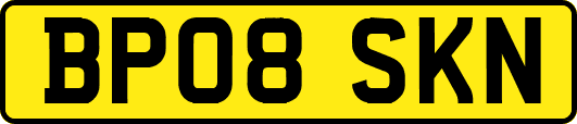 BP08SKN