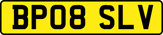 BP08SLV