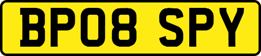 BP08SPY