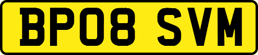 BP08SVM