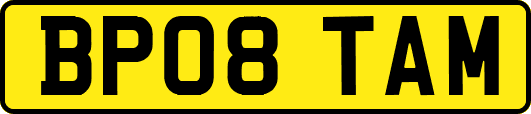 BP08TAM