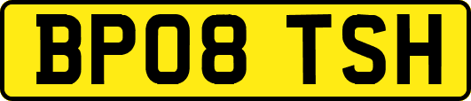 BP08TSH