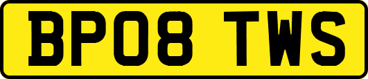 BP08TWS