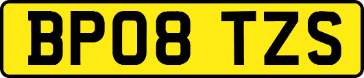 BP08TZS