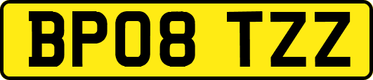 BP08TZZ