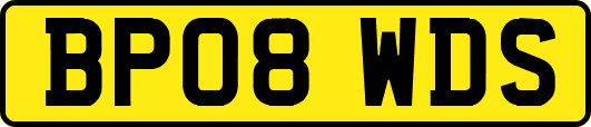 BP08WDS
