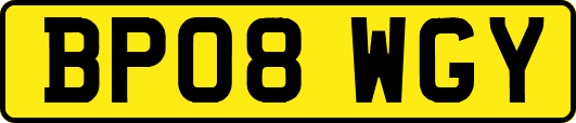 BP08WGY