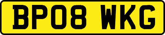 BP08WKG