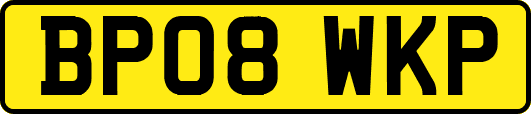BP08WKP