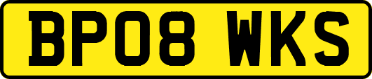 BP08WKS